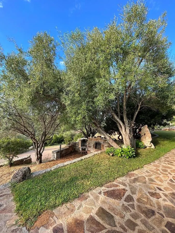 Bed & Breakfast La Minditta San Teodoro  Italy