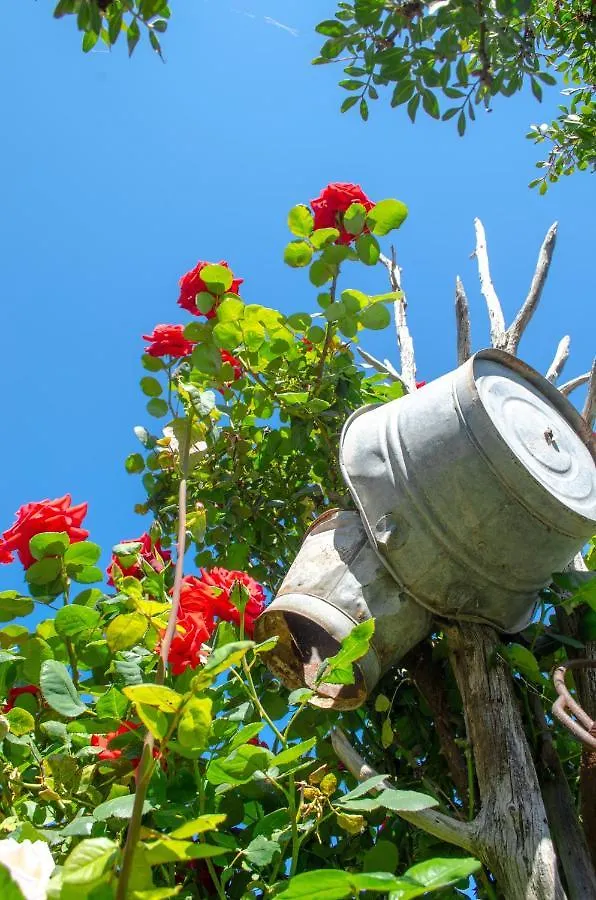 Bed & Breakfast La Minditta San Teodoro