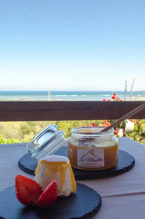 Bed and Breakfast La Minditta San Teodoro