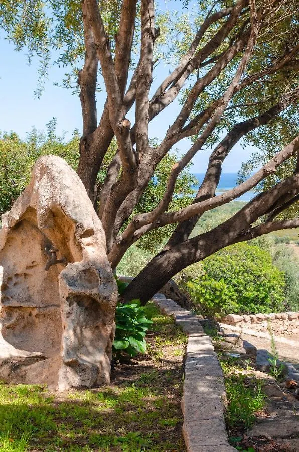 La Minditta San Teodoro  Bed & Breakfast San Teodoro (Sardinia)